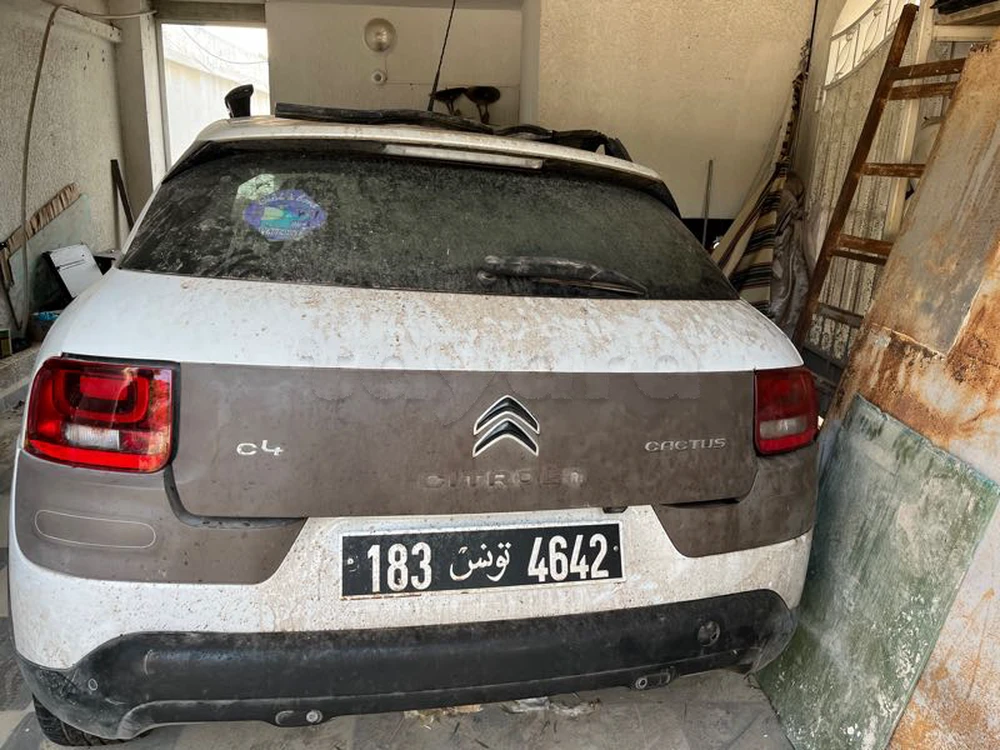 Carte voiture Citroen C4 Cactus