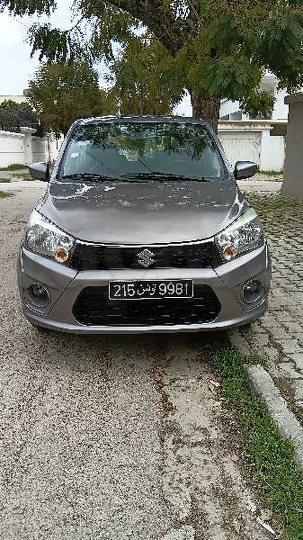 Carte voiture Suzuki Celerio