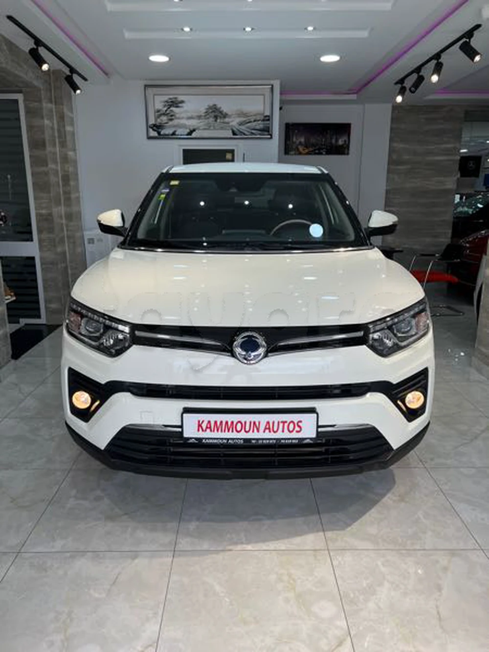 Carte voiture SsangYong Tivoli