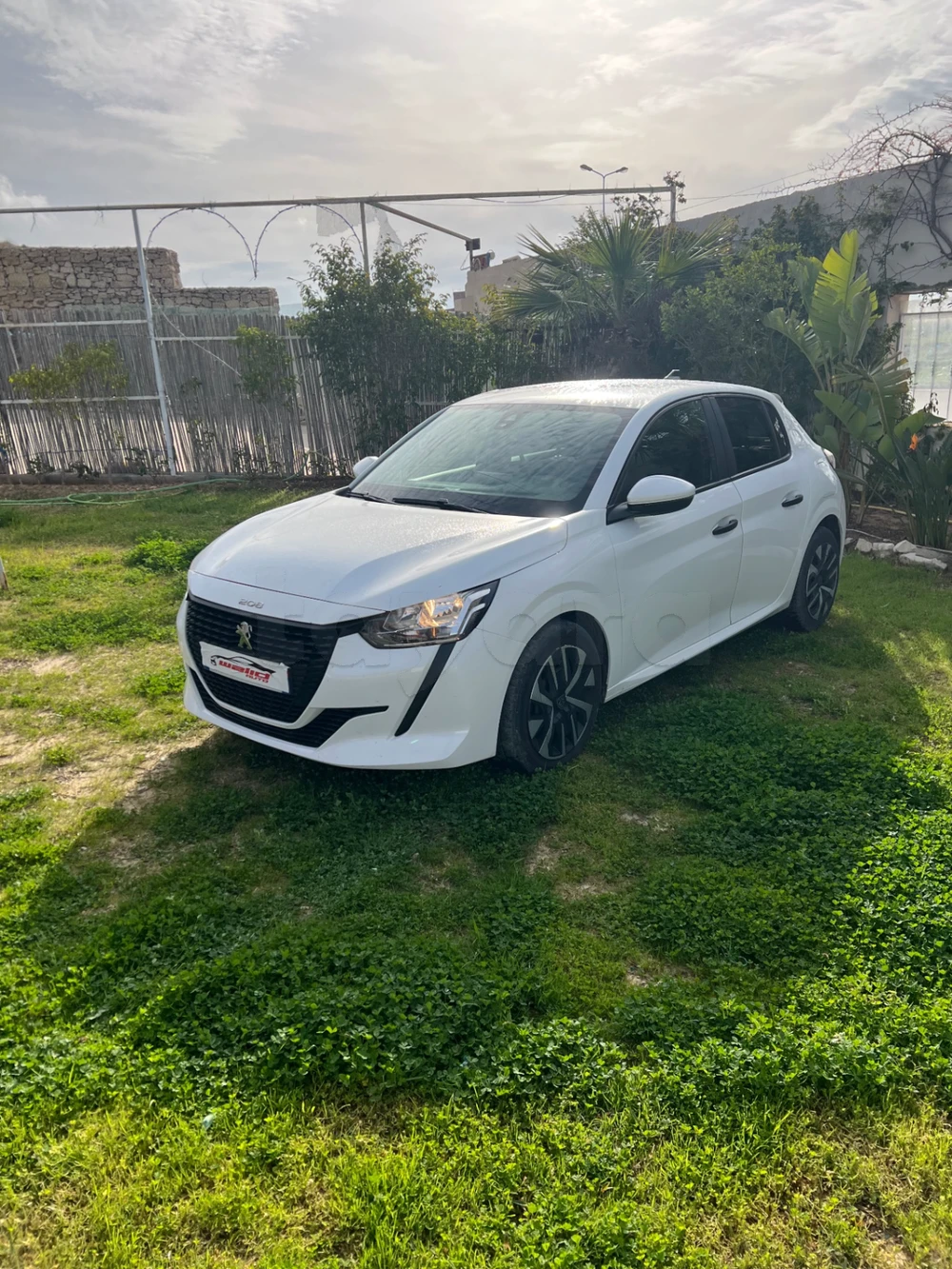 Carte voiture Peugeot 208