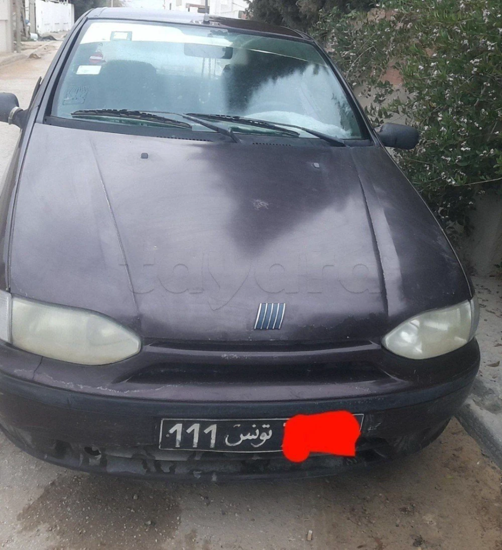 Carte voiture Fiat Palio