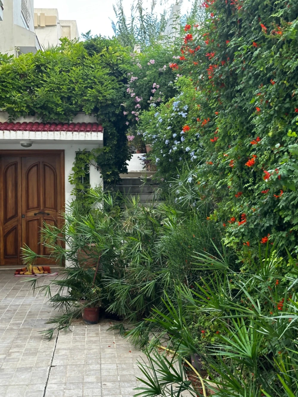 À louer – Étage de villa S+3 à MegrineCoteaux Découvrez ce bel étage de villa S+3, situé dans un quartier calme et résidentiel à Megrine Coteaux. Il se compose d'un spacieux salon, de 3 chambres à coucher, d'une cuisine et d'une salle de bain. Un logement