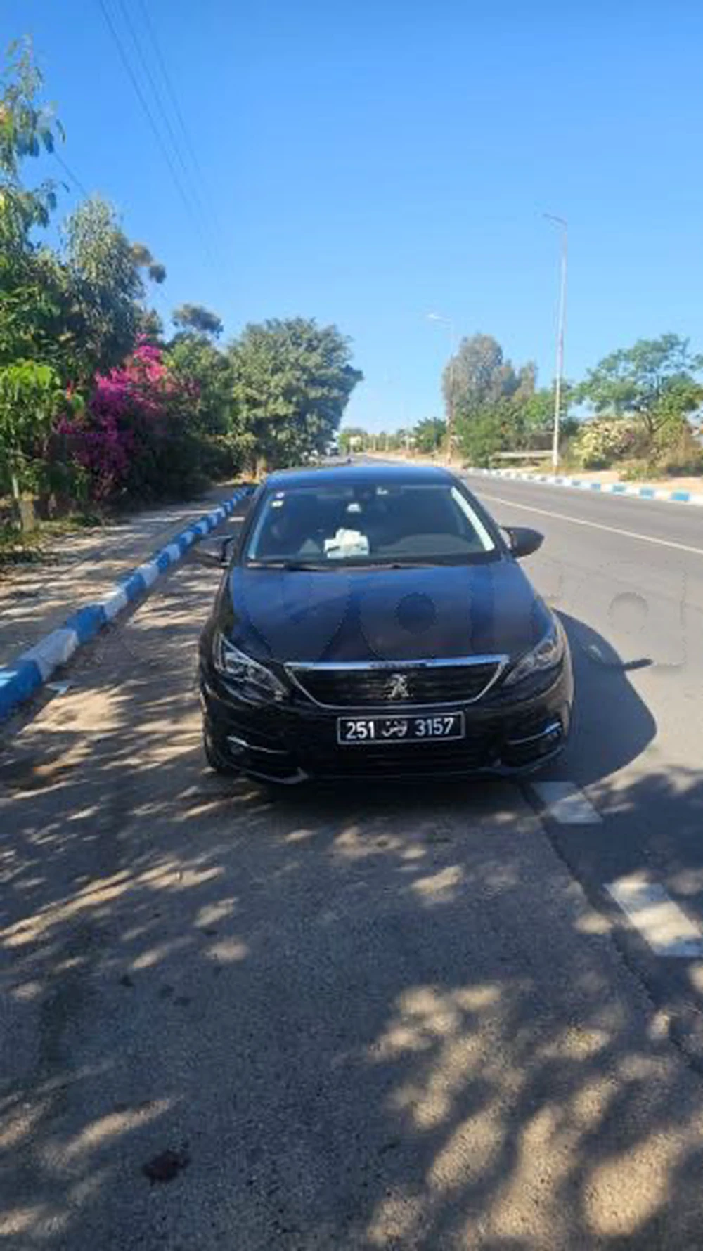 Carte voiture Peugeot 308