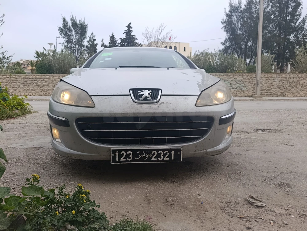 Peugeot 407