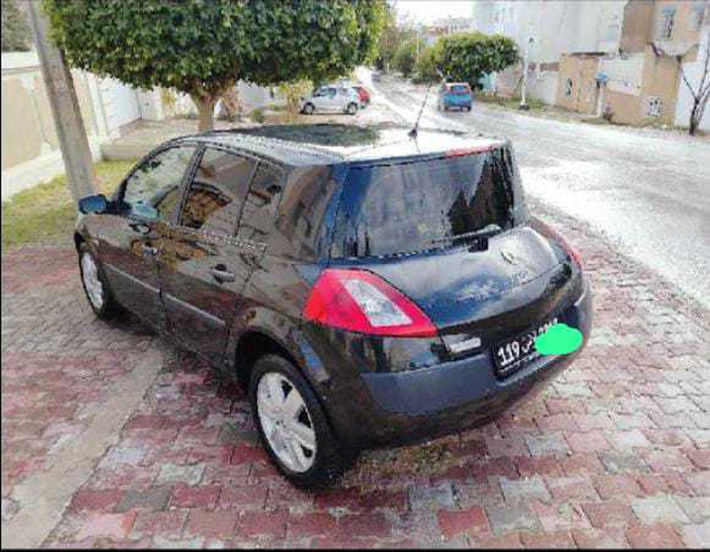 Mégane 2 Renault 53060038