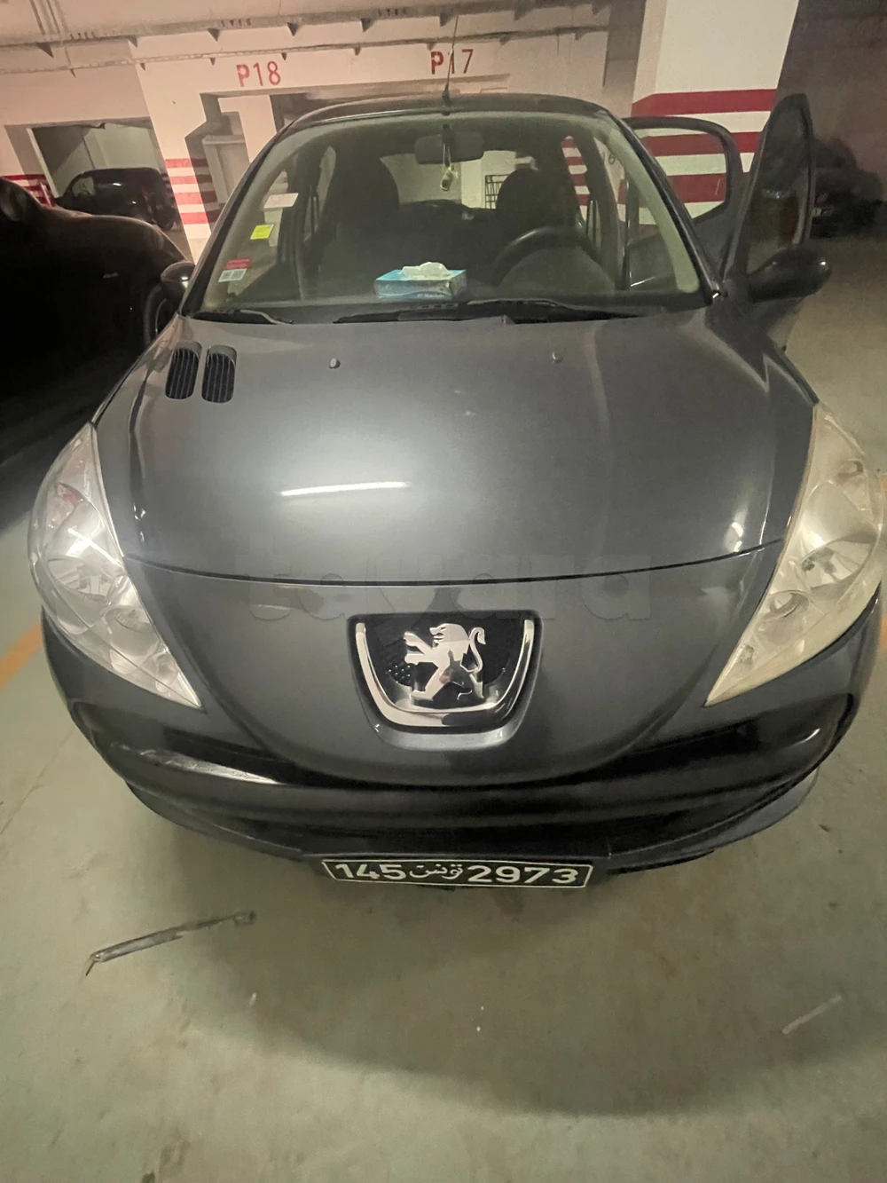 Carte voiture Peugeot 206+