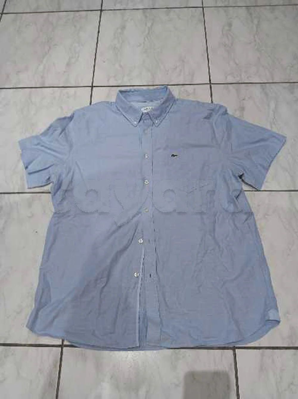 chemise Lacoste originale
