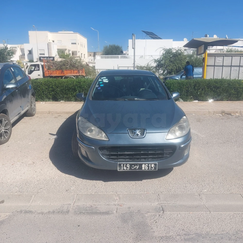 Peugeot 407