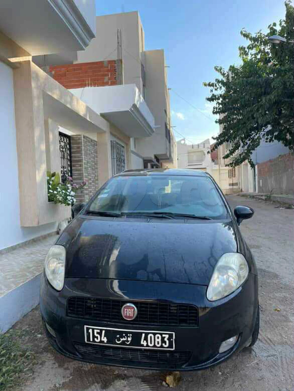 Carte voiture Fiat Punto