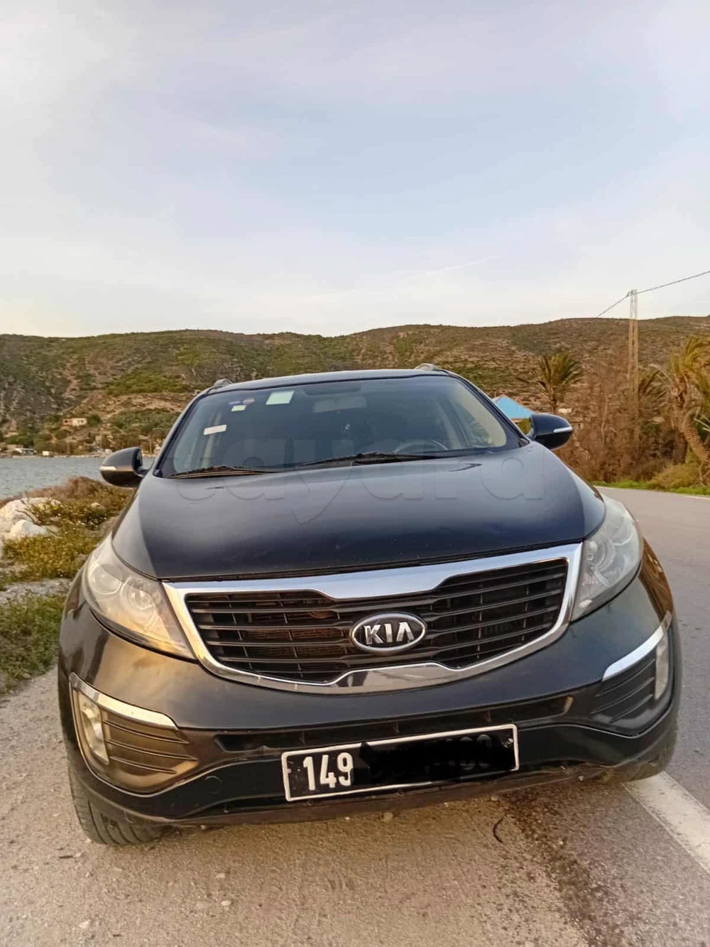 Carte voiture Kia Sportage