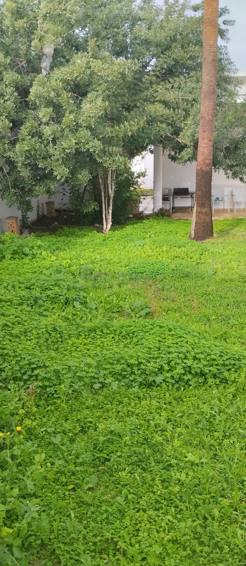 vente ennasr terrain 352m² qurtier residentiel