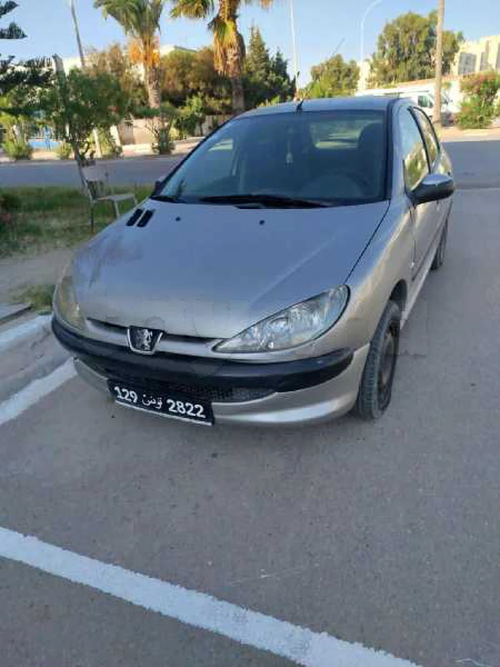 Carte voiture Peugeot 206+