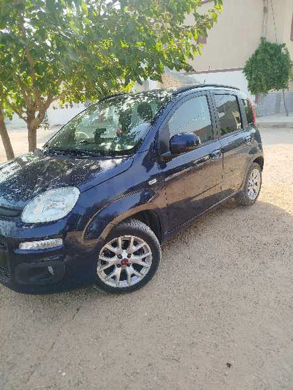 Carte voiture Fiat Panda