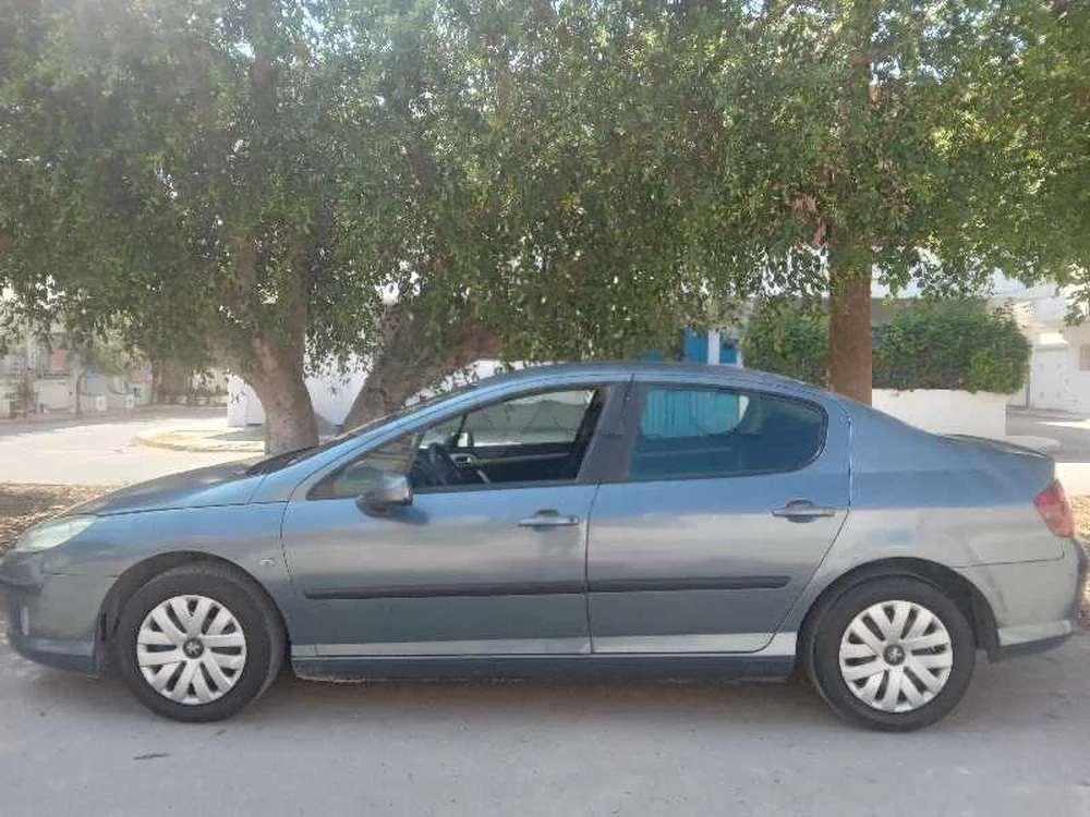 Carte voiture Peugeot 407