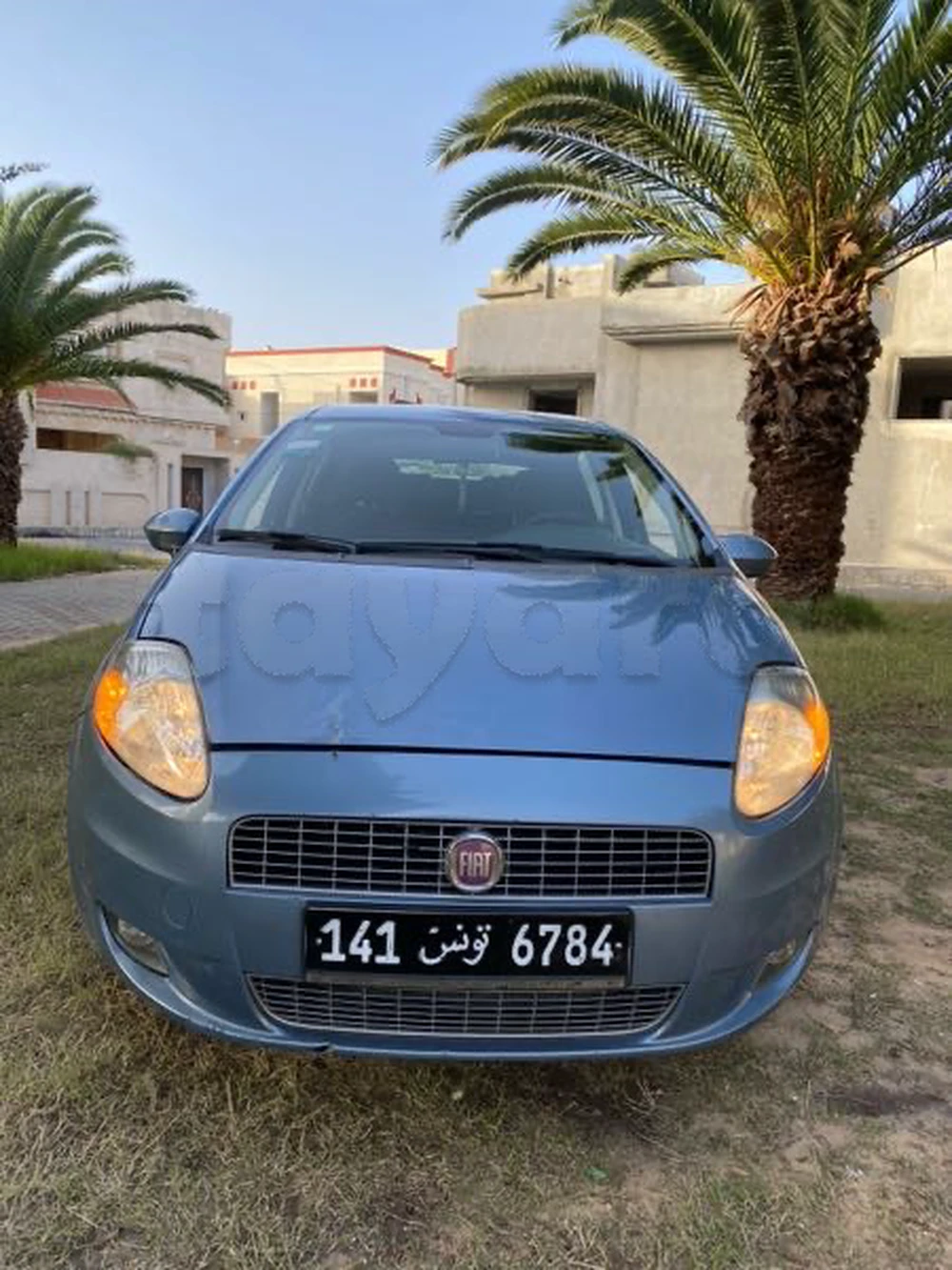 Carte voiture Fiat Punto