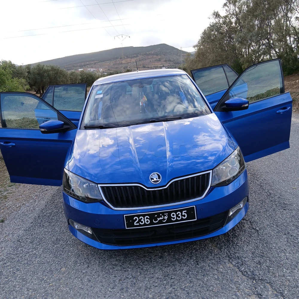 Carte voiture Skoda Fabia