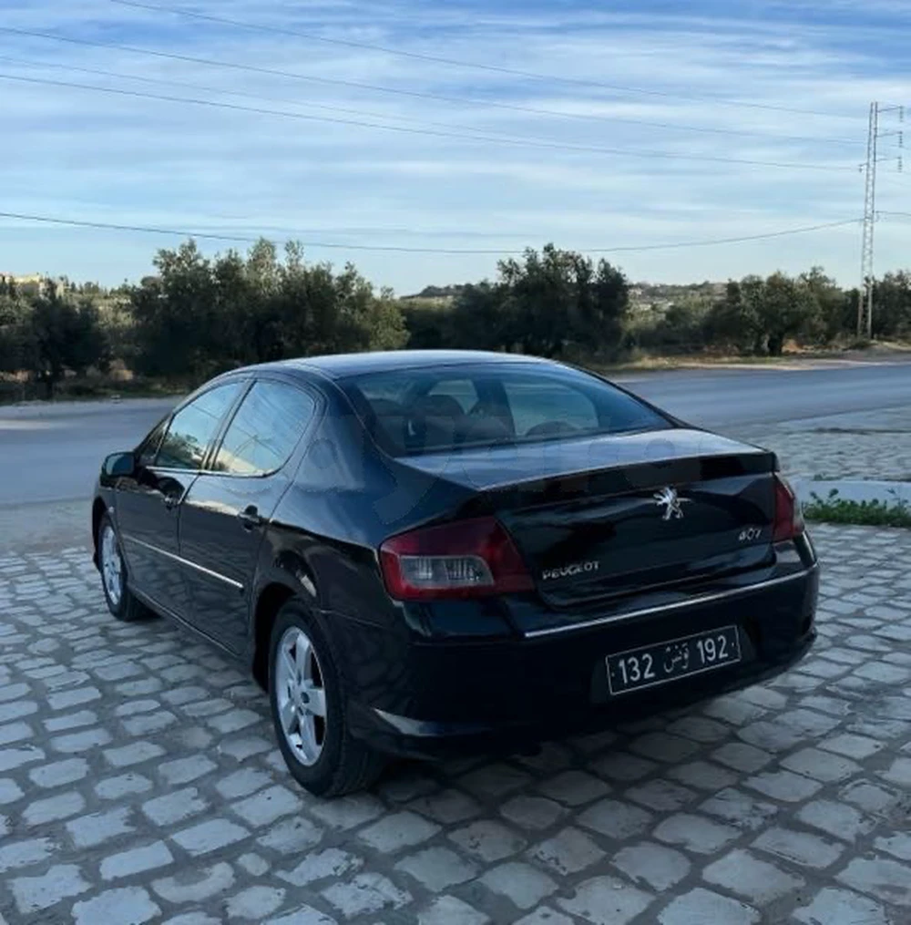 Peugeot 407