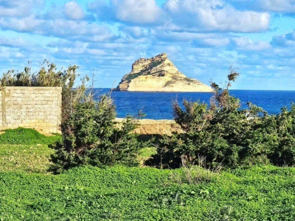 🏝 Terrain 1050 m2 rafraf plage ain mesrtir 🏖