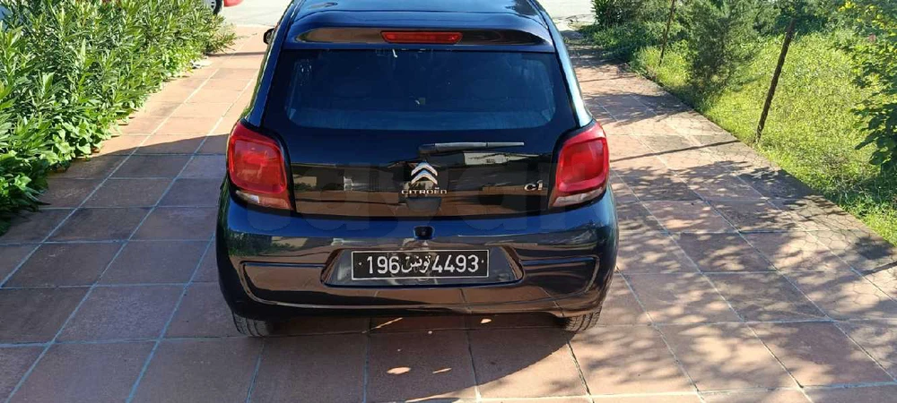 Citroen C15