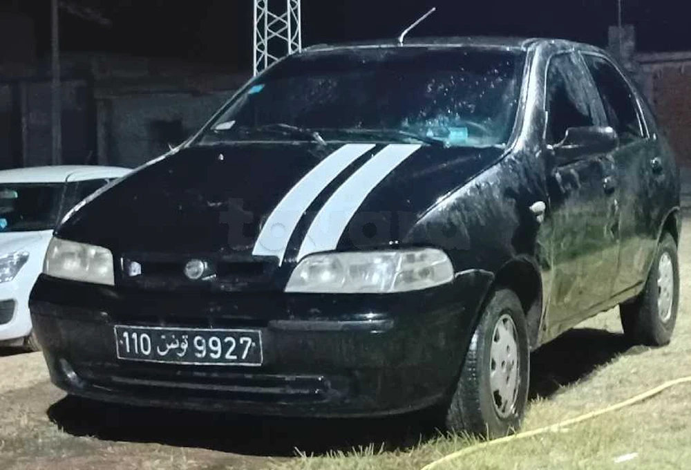 Carte voiture Fiat Palio