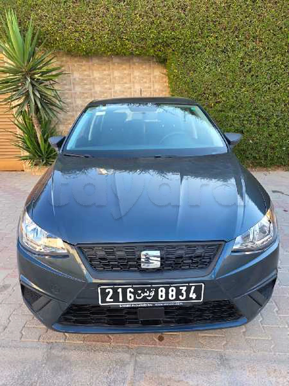 Carte voiture SEAT Ibiza