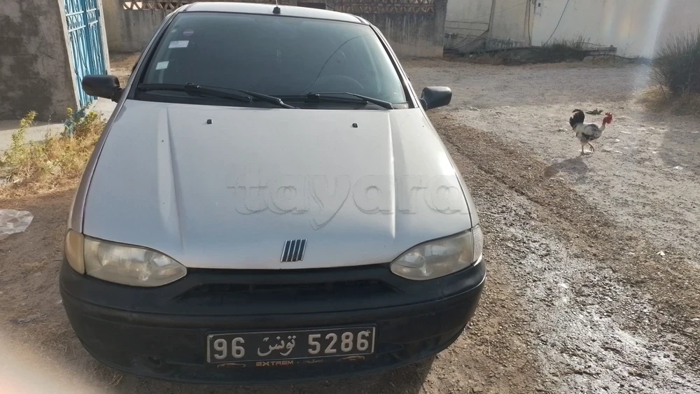 Carte voiture Fiat Palio