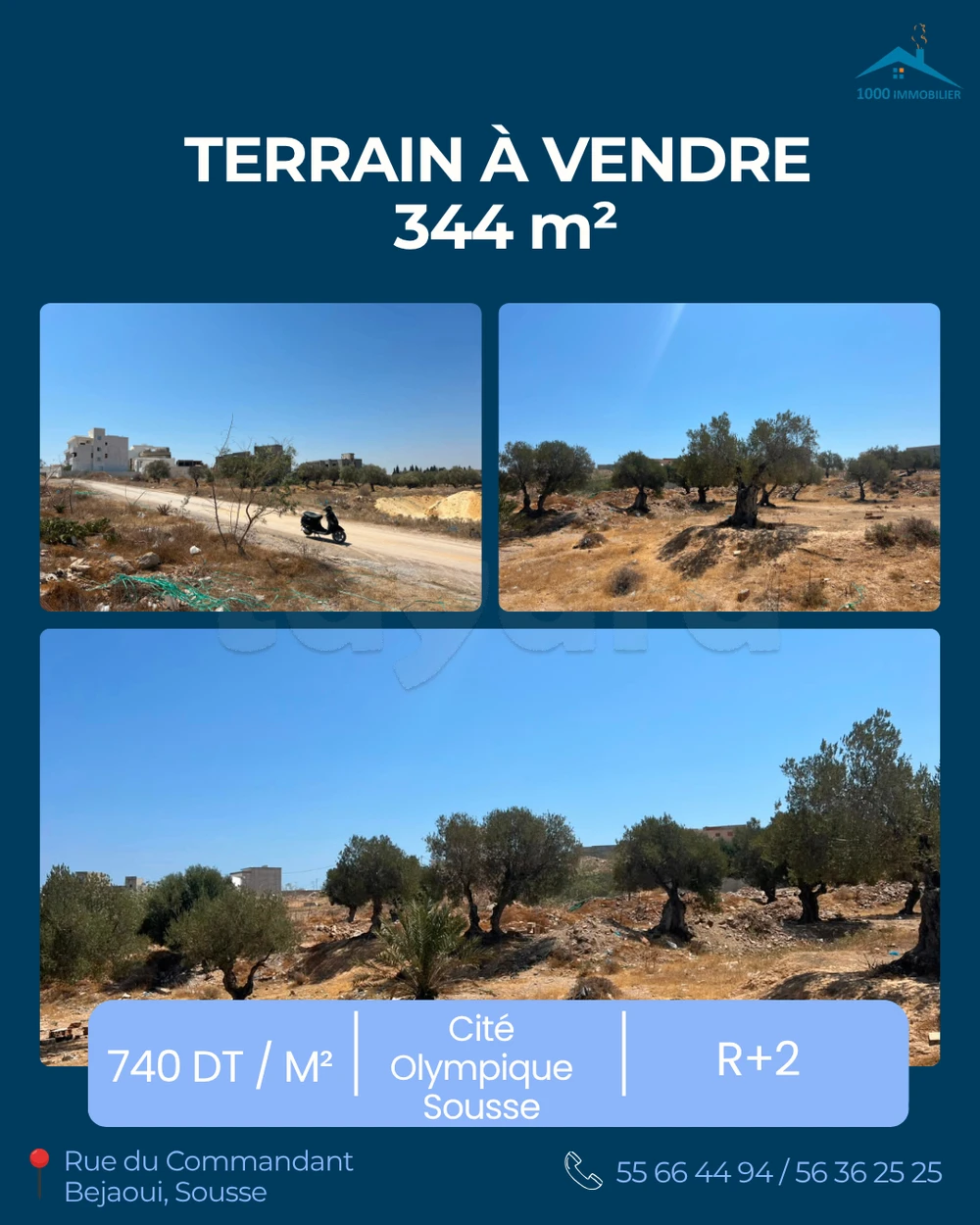 Terrain à vendre à Cité Olympique