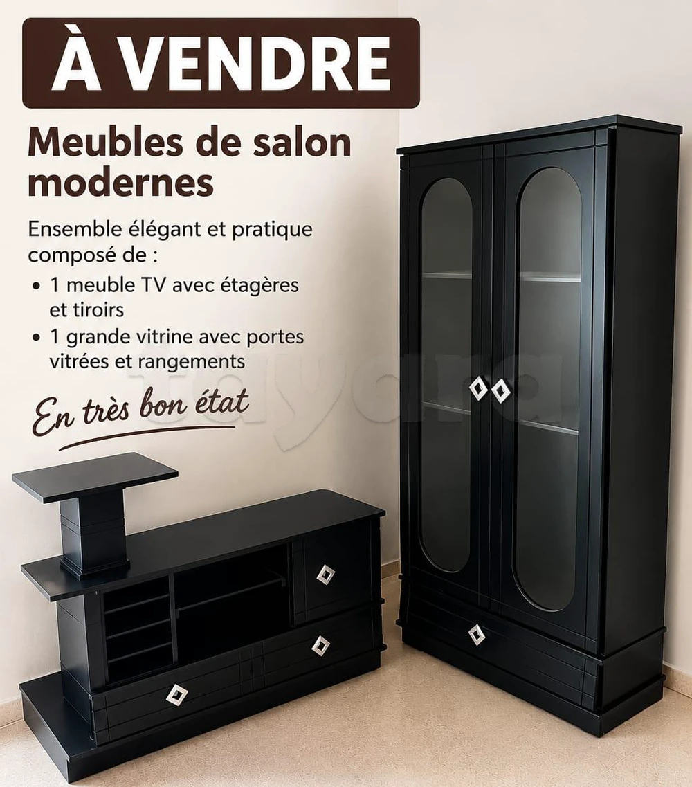 Meubles de salon modernes à vendre