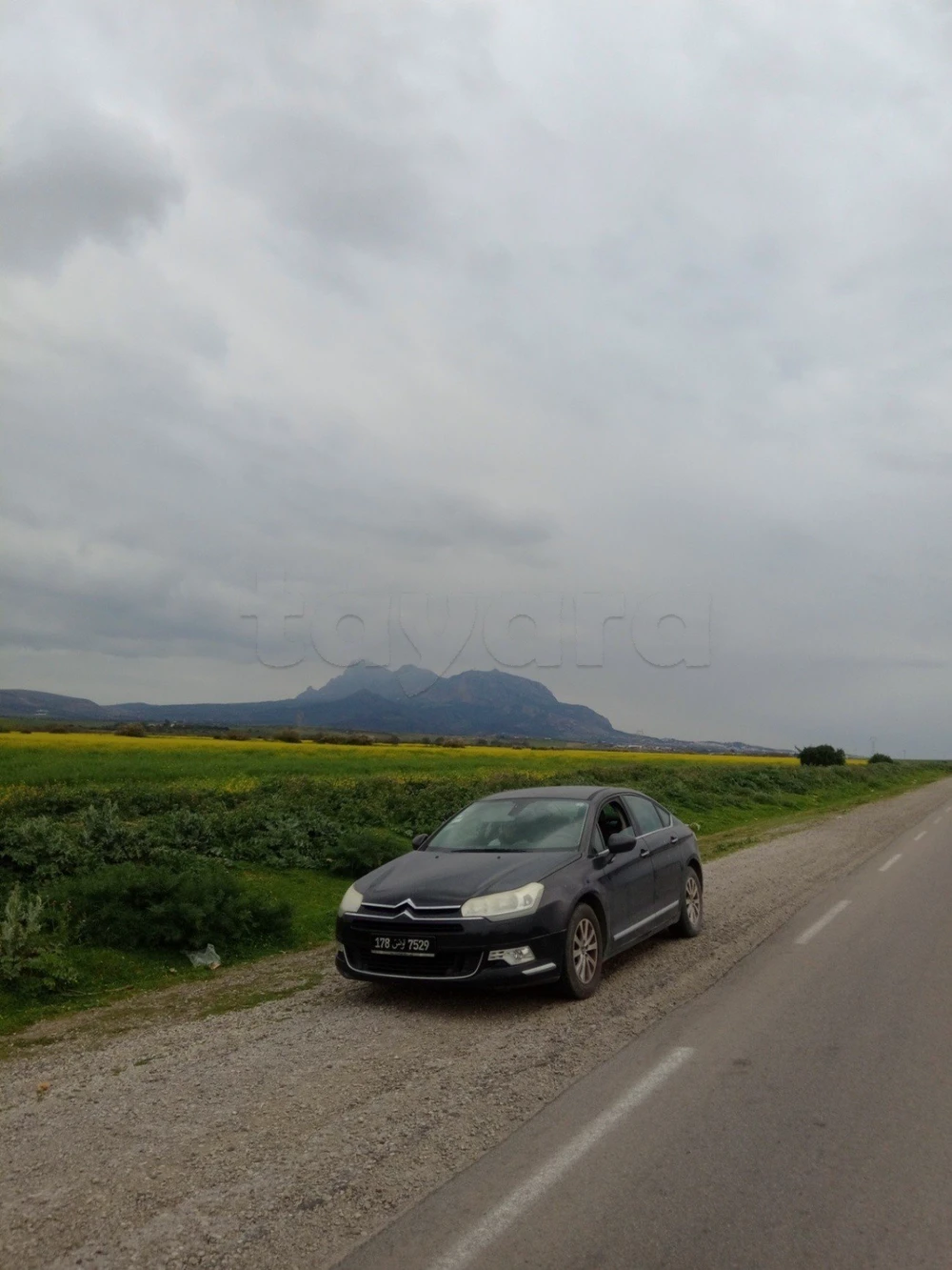 Carte voiture Citroen C5