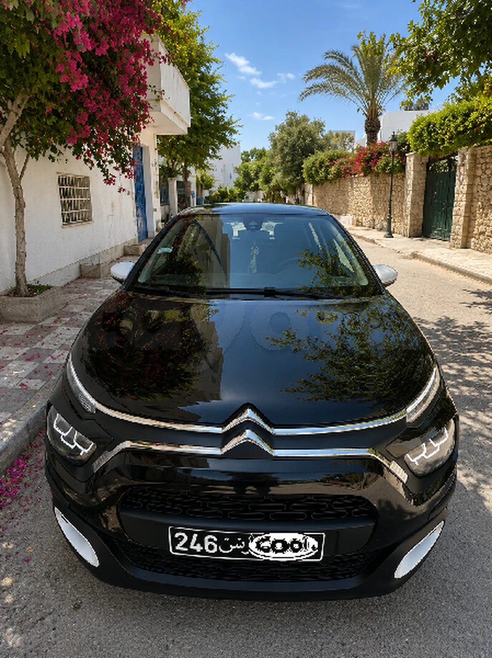 Citroen C35