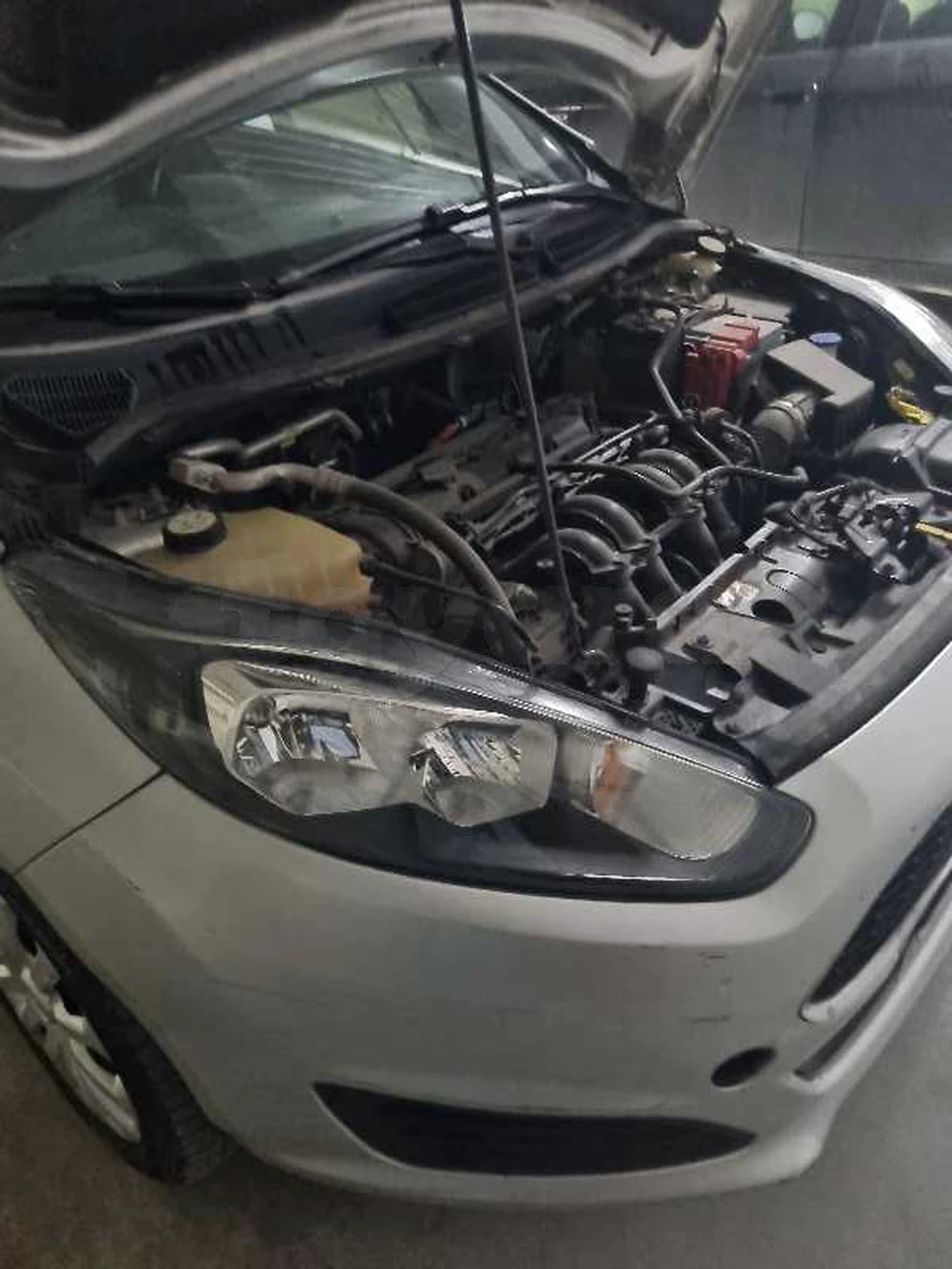 Carte voiture Ford Fiesta