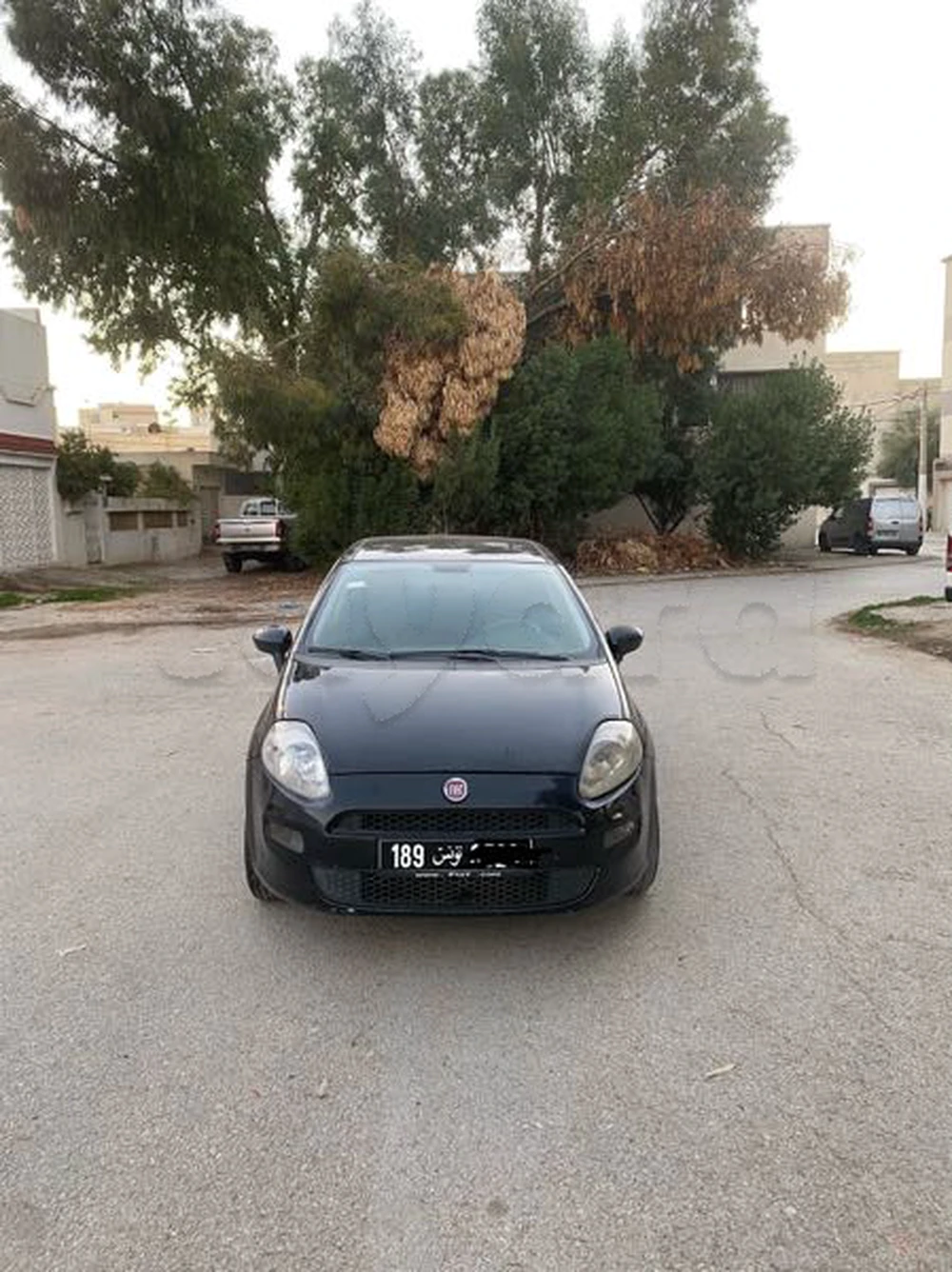 Carte voiture Fiat Punto