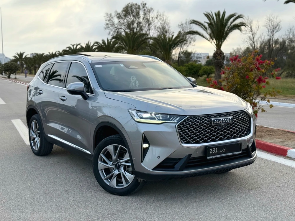 Carte voiture Haval H6