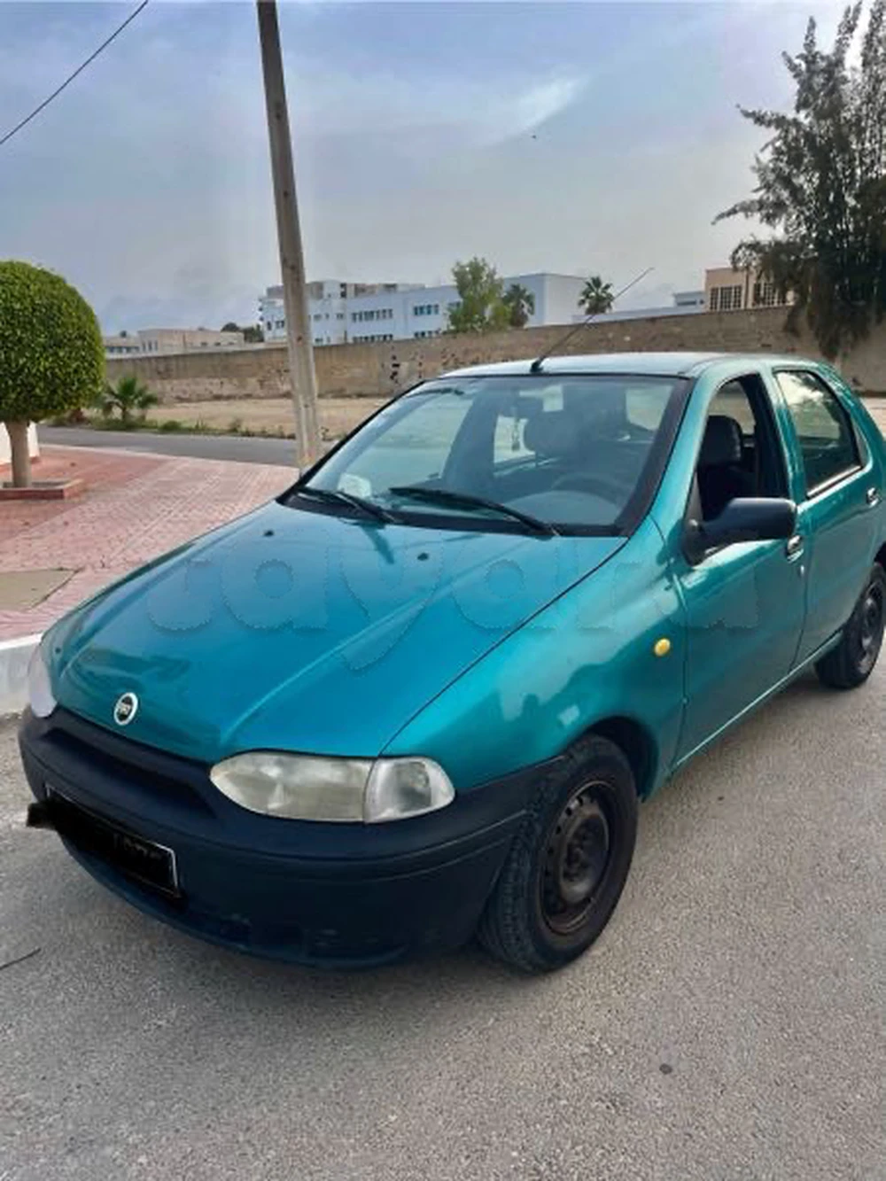 Carte voiture Fiat Palio