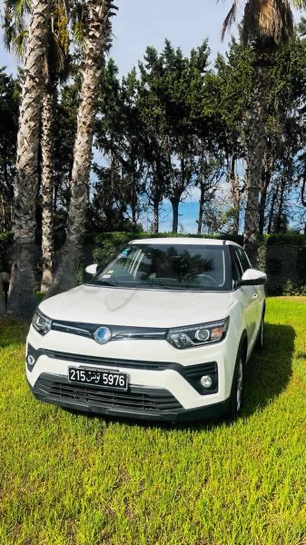 Carte voiture SsangYong Tivoli