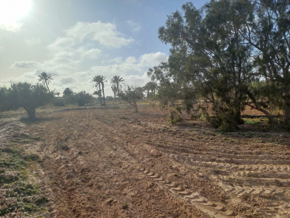 Terrain de 1800m2 Avec Permis de Bâtir