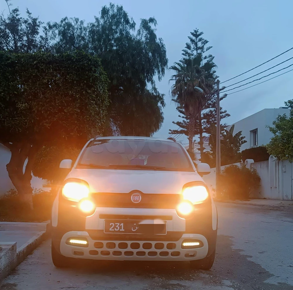 Carte voiture Fiat Panda