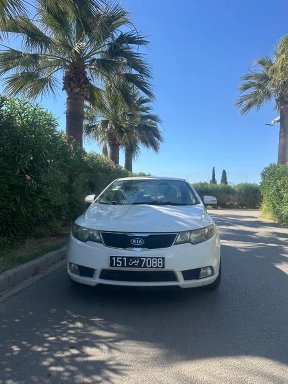 Carte voiture Kia Cerato