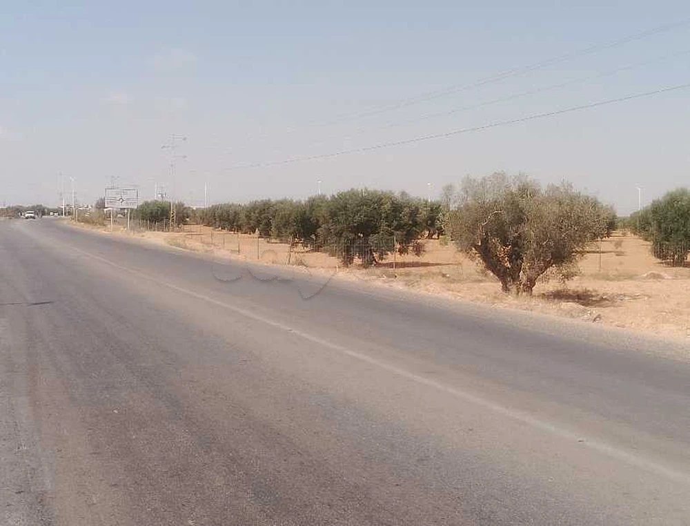 Sur route principale: route Mahdia terrain