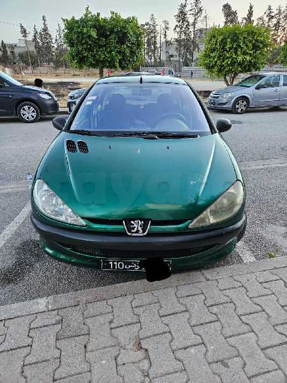 Carte voiture Peugeot 206