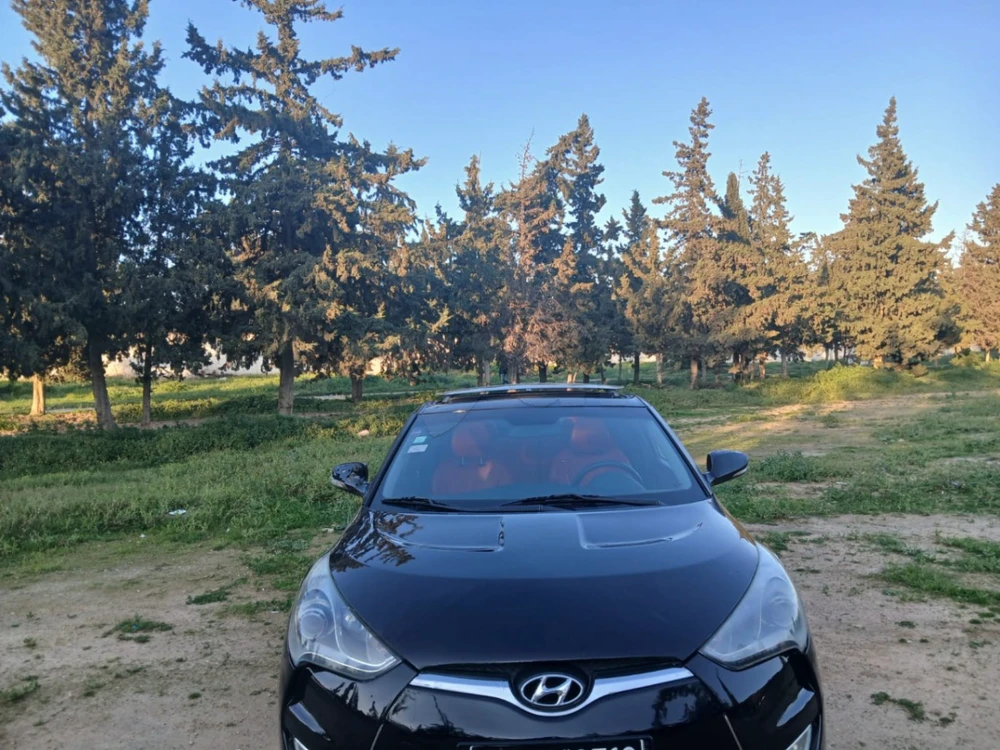 Carte voiture Hyundai Veloster