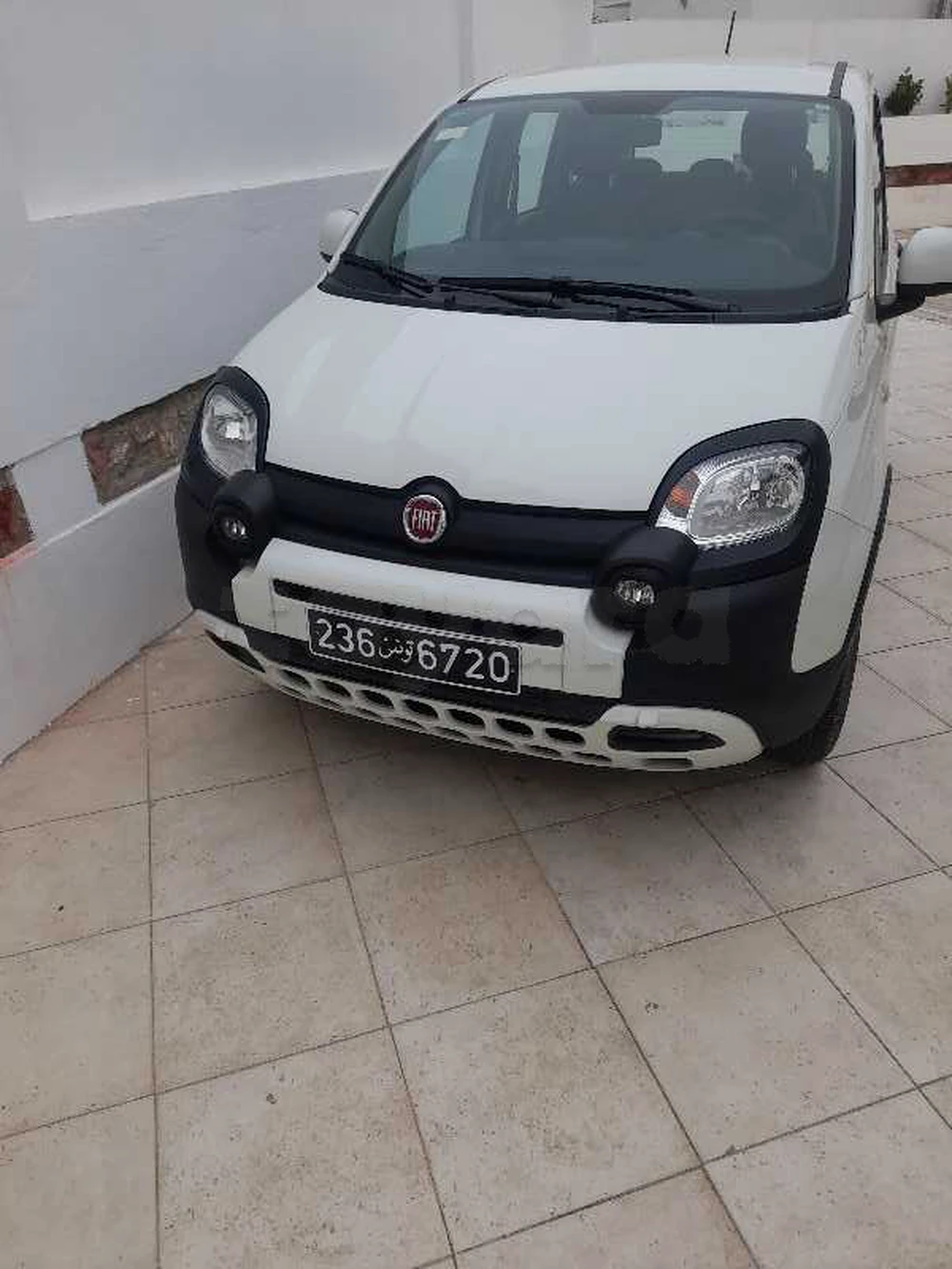 Carte voiture Fiat Panda