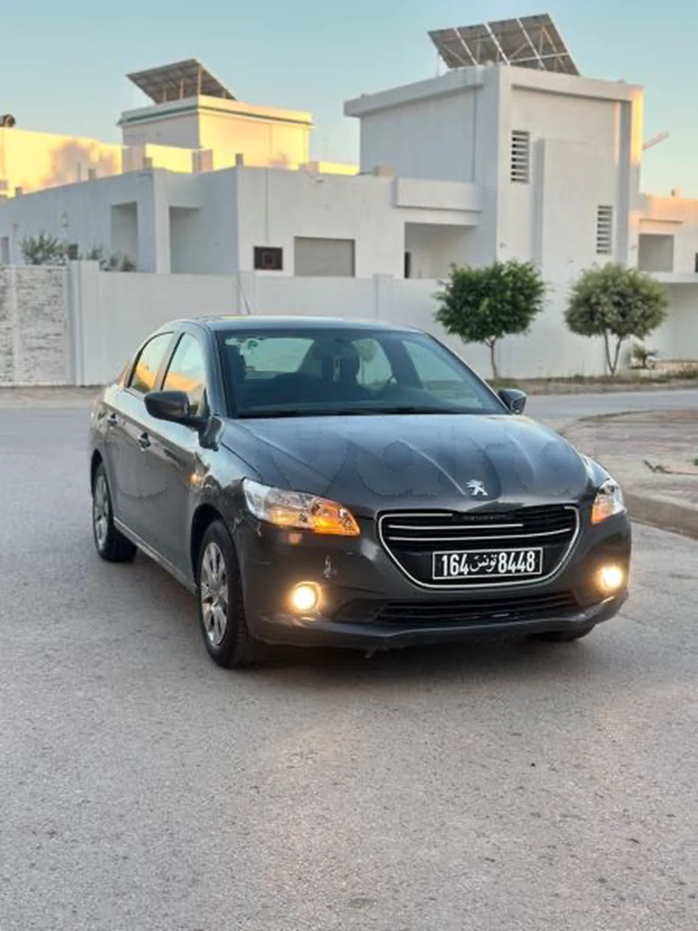 Carte voiture Peugeot 301