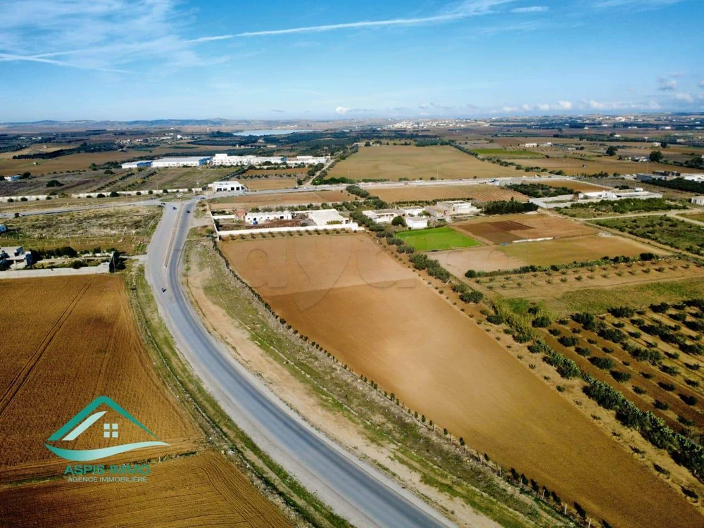 Terrain 1000 m² route principale de ceinture Kelibia