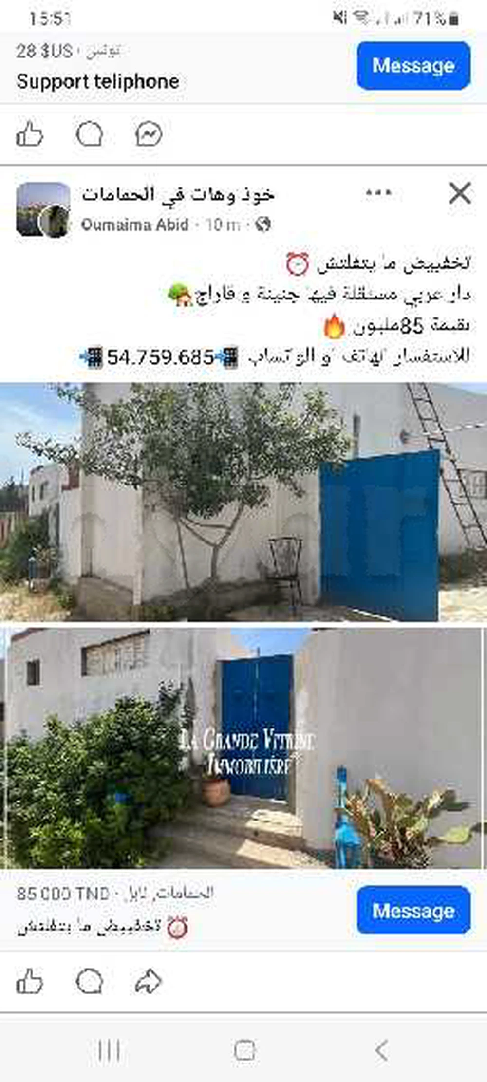 ovetto à vendre hammamet 3800 dt