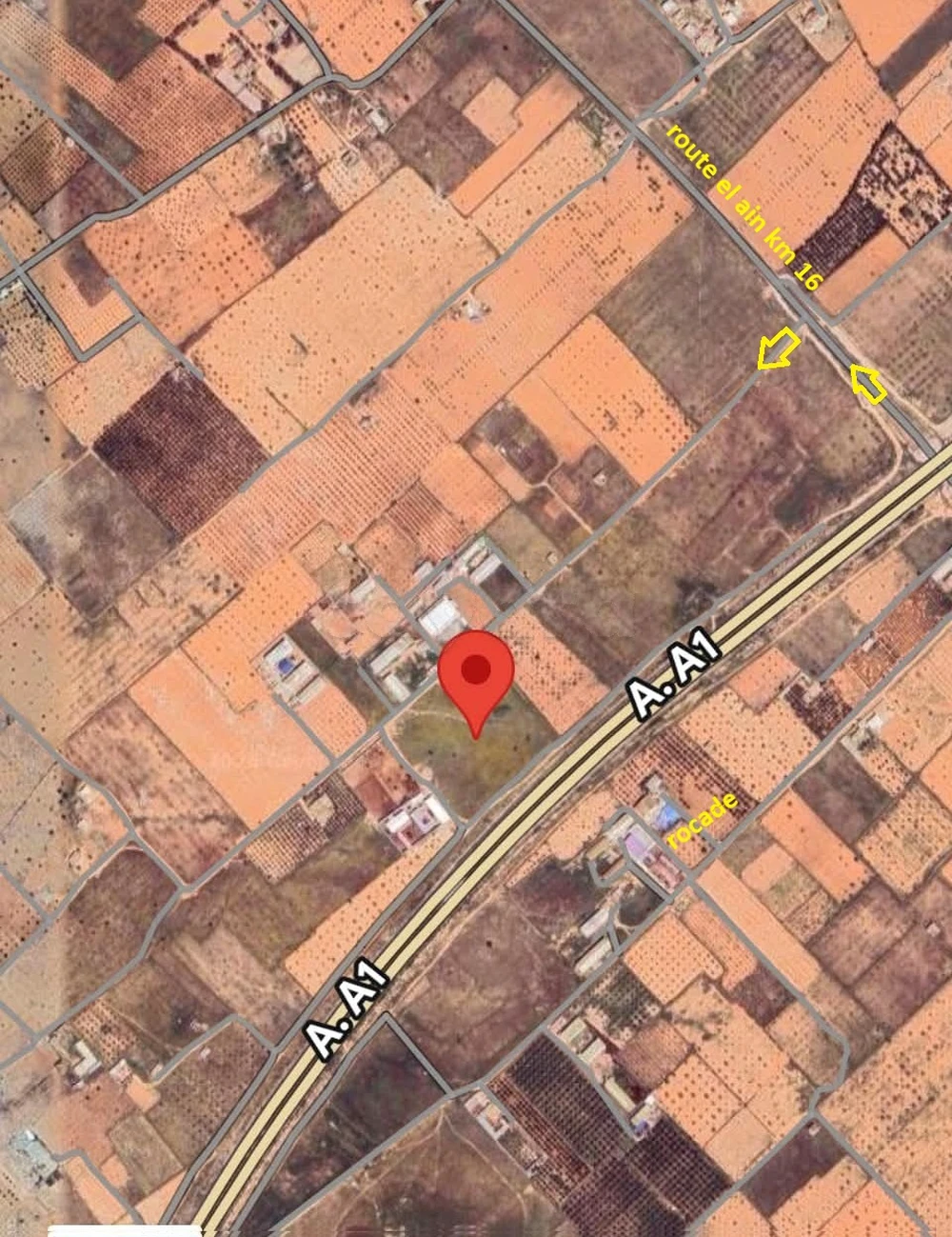 Terrain Agricole Route El Ain KM 16 sur Rocade