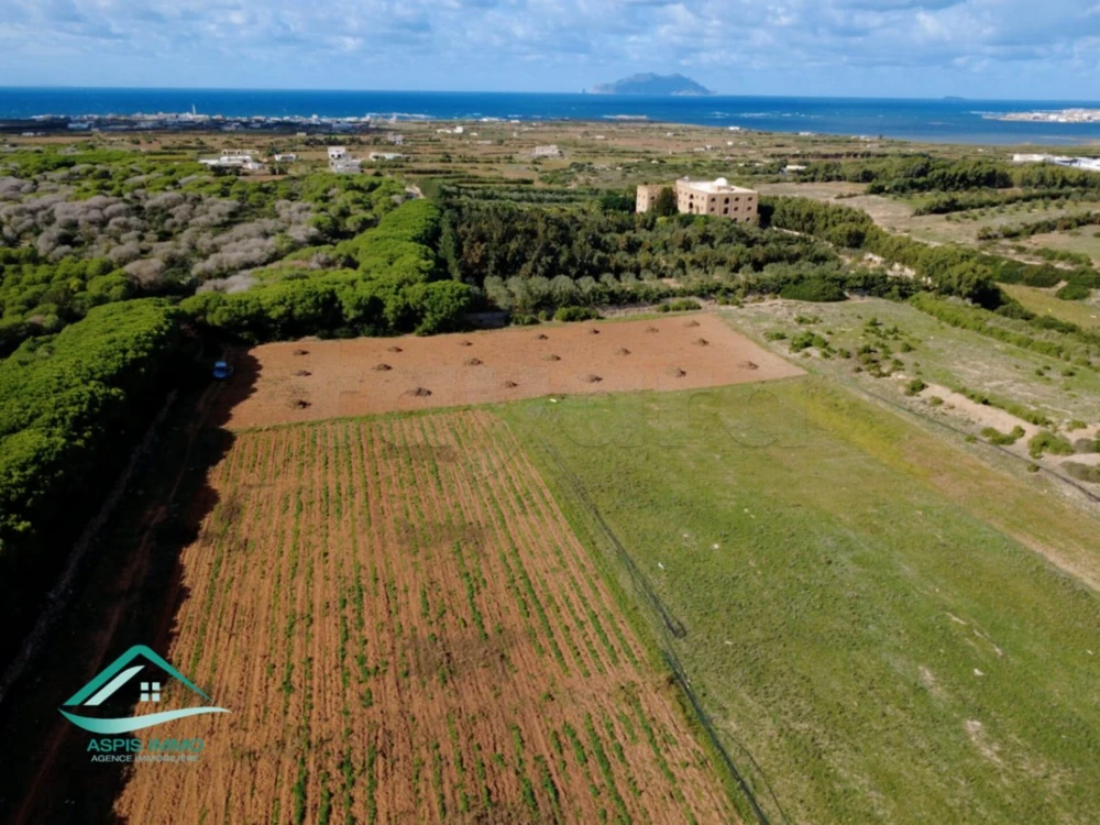 Terrain agricole 20130 m² à sidi daoued hawaria