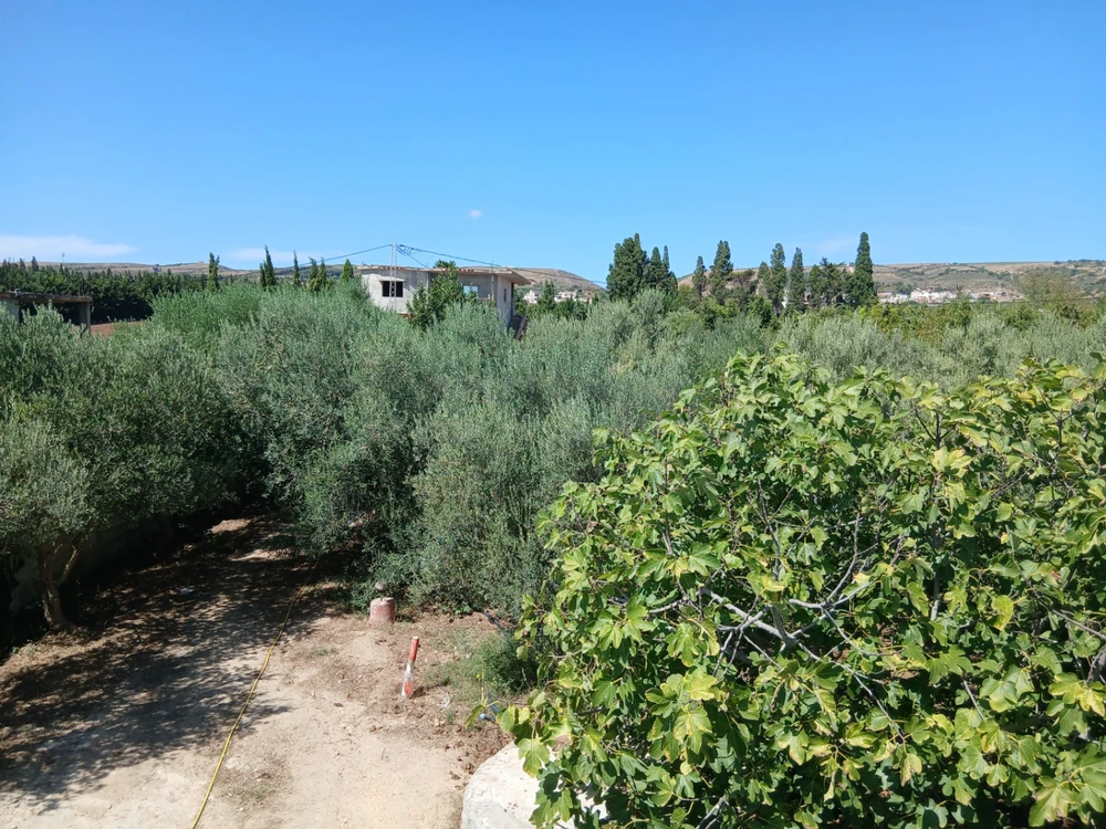 Terrain agricole / arboré 2000 m² à Bejou – Proche Ghar El Melh et plage