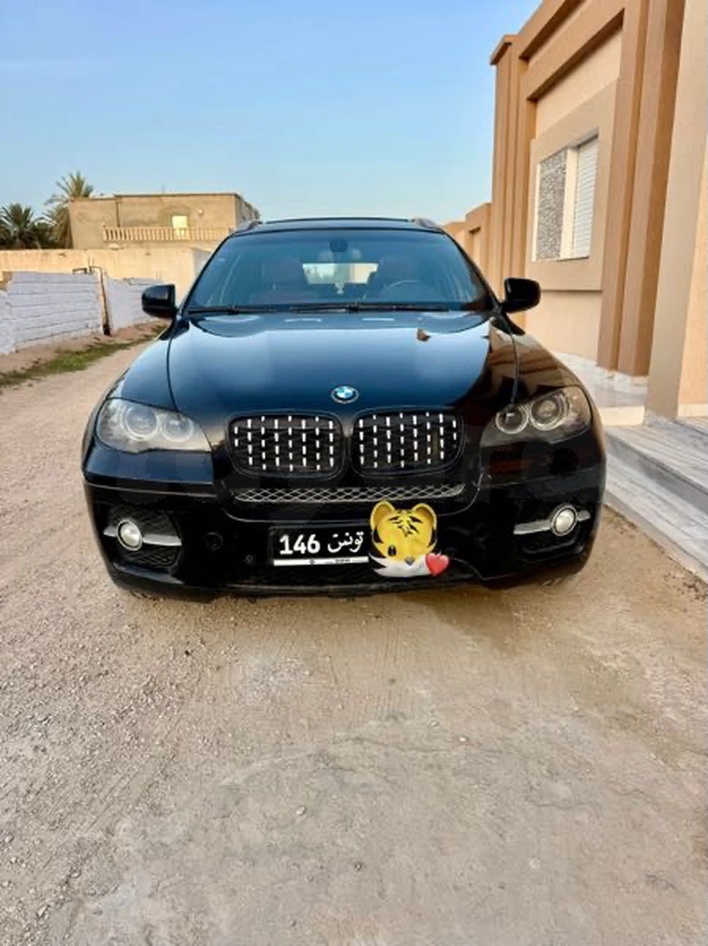 Carte voiture BMW X6