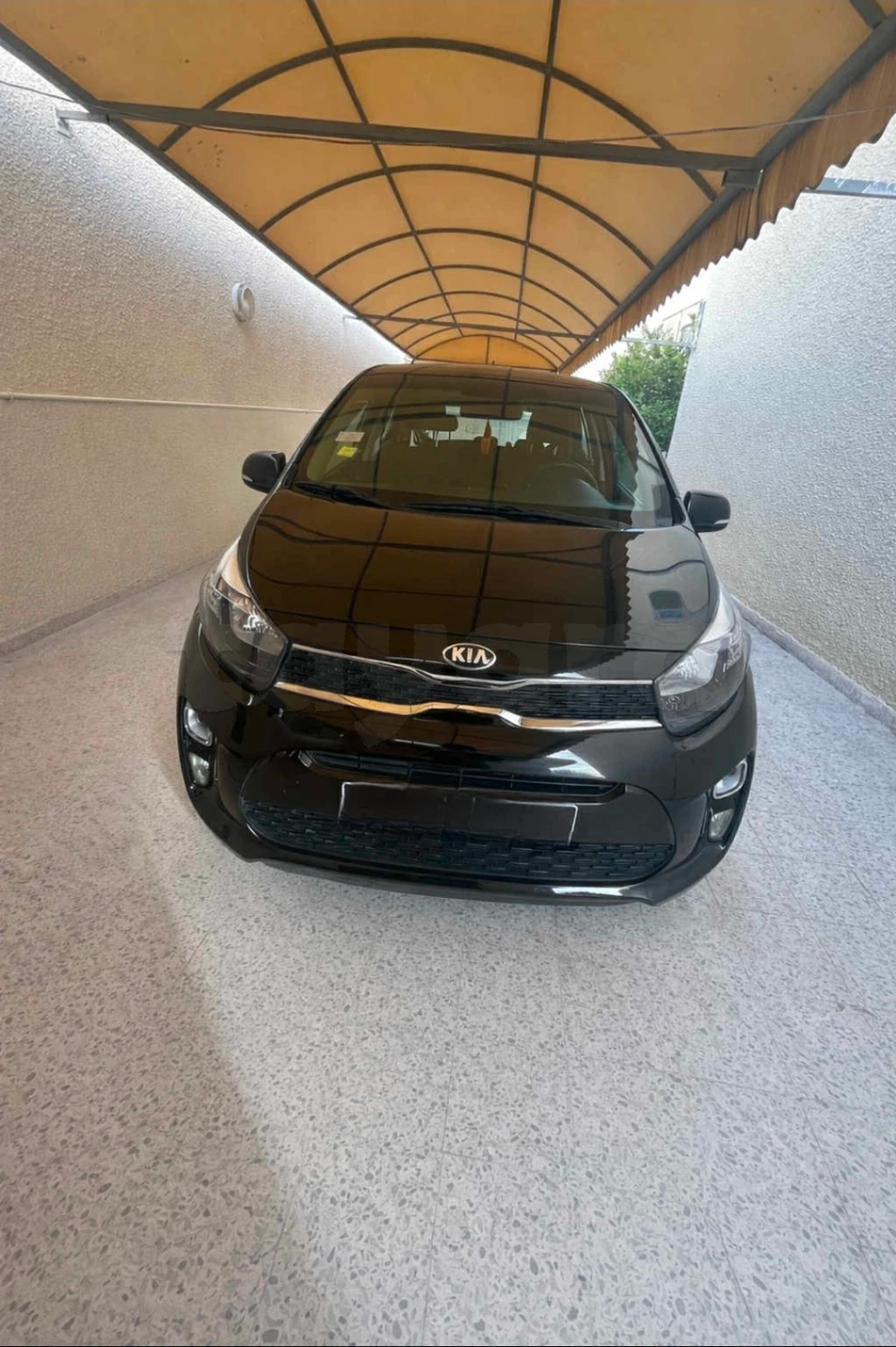 Carte voiture Kia Picanto